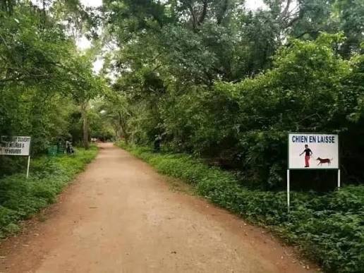 Parc urbain Bangr-Weogo